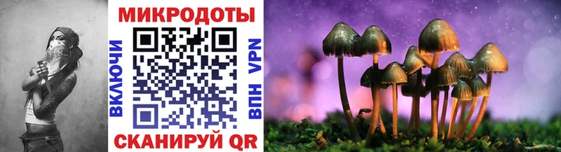 Псилоцибиновые грибы Psilocybe  Руза 