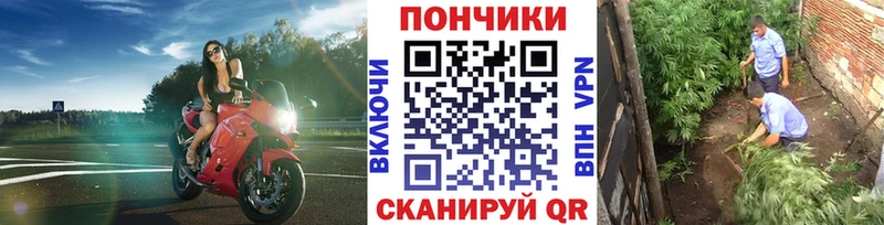 mega маркетплейс  Руза  Каннабис сатива 